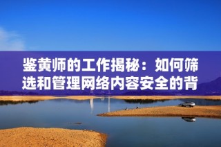 鉴黄师的工作揭秘：如何筛选和管理网络内容安全的背后故事