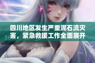 四川地区发生严重泥石流灾害，紧急救援工作全面展开