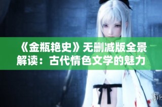 《金瓶艳史》无删减版全景解读：古代情色文学的魅力与影响