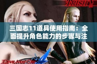 三国志11道具使用指南：全面提升角色能力的步骤与注意事项详解