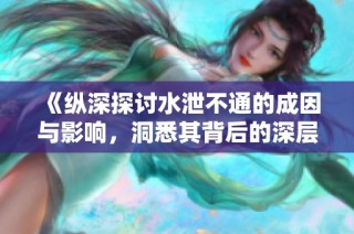 《纵深探讨水泄不通的成因与影响，洞悉其背后的深层次问题》