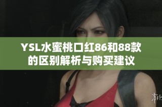 YSL水蜜桃口红86和88款的区别解析与购买建议