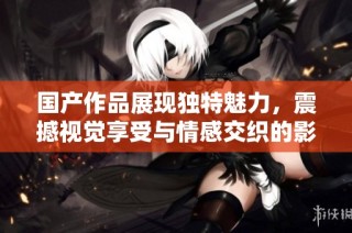 国产作品展现独特魅力，震撼视觉享受与情感交织的影片推荐