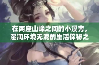 在两座山峰之间的小溪旁，湿润环境无泥的生活探秘之旅