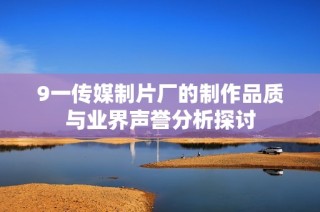 9一传媒制片厂的制作品质与业界声誉分析探讨