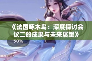 《法国啄木鸟：深度探讨会议二的成果与未来展望》