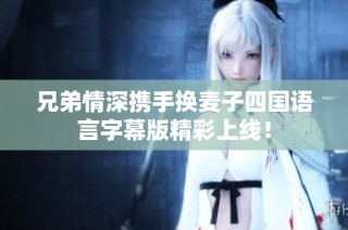 兄弟情深携手换麦子四国语言字幕版精彩上线！