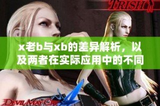 x老b与xb的差异解析，以及两者在实际应用中的不同表现