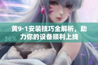 黄9·1安装技巧全解析，助力你的设备顺利上线