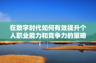 在数字时代如何有效提升个人职业能力和竞争力的策略分享
