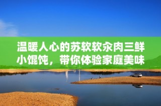 温暖人心的苏软软汆肉三鲜小馄饨，带你体验家庭美味的日常魅力