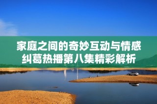 家庭之间的奇妙互动与情感纠葛热播第八集精彩解析