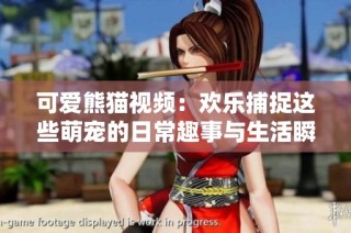 可爱熊猫视频：欢乐捕捉这些萌宠的日常趣事与生活瞬间