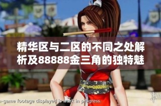 精华区与二区的不同之处解析及88888金三角的独特魅力探讨