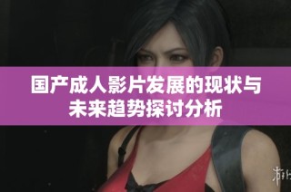 国产成人影片发展的现状与未来趋势探讨分析