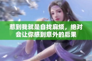 惹到我就是自找麻烦，绝对会让你感到意外的后果
