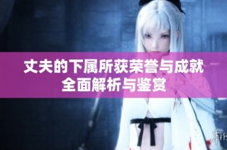 丈夫的下属所获荣誉与成就全面解析与鉴赏