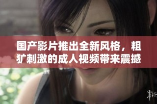 国产影片推出全新风格，粗犷刺激的成人视频带来震撼体验