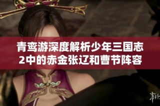 青鸾游深度解析少年三国志2中的赤金张辽和曹节阵容实力