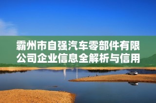 霸州市自强汽车零部件有限公司企业信息全解析与信用分析