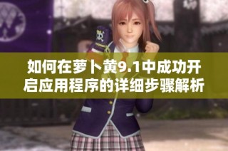 如何在萝卜黄9.1中成功开启应用程序的详细步骤解析