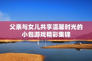 父亲与女儿共享温馨时光的小包游戏精彩集锦