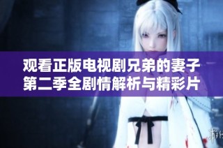观看正版电视剧兄弟的妻子第二季全剧情解析与精彩片段分享