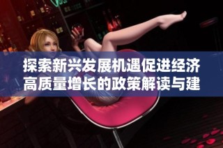 探索新兴发展机遇促进经济高质量增长的政策解读与建议