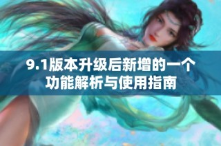 9.1版本升级后新增的一个功能解析与使用指南