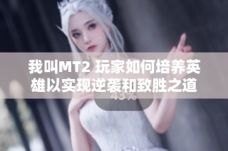 我叫MT2 玩家如何培养英雄以实现逆袭和致胜之道