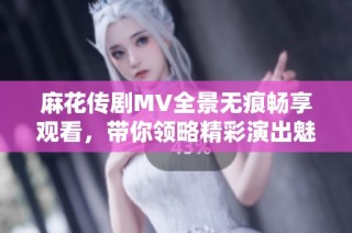 麻花传剧MV全景无痕畅享观看，带你领略精彩演出魅力