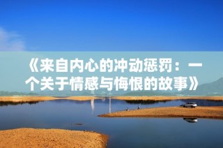 《来自内心的冲动惩罚：一个关于情感与悔恨的故事》