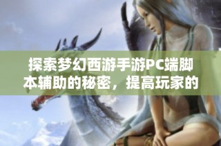 探索梦幻西游手游PC端脚本辅助的秘密，提高玩家的游戏效率与体验