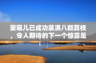窦寇儿已成功装满八颗荔枝，令人期待的下一个惊喜是什么？
