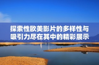 探索性欧美影片的多样性与吸引力尽在其中的精彩展示