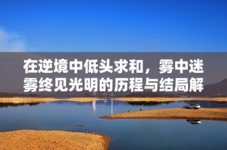 在逆境中低头求和，雾中迷雾终见光明的历程与结局解析