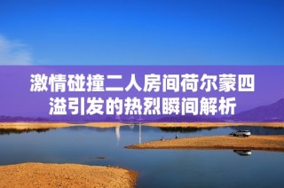 激情碰撞二人房间荷尔蒙四溢引发的热烈瞬间解析