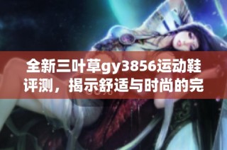 全新三叶草gy3856运动鞋评测，揭示舒适与时尚的完美结合