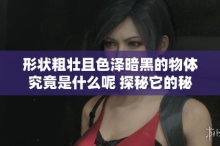 形状粗壮且色泽暗黑的物体究竟是什么呢 探秘它的秘密与用途
