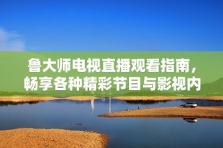 鲁大师电视直播观看指南，畅享各种精彩节目与影视内容