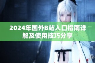 2024年国外B站入口指南详解及使用技巧分享