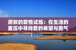 房奴的爱情试炼：在生活的重压中寻找爱的希望与勇气