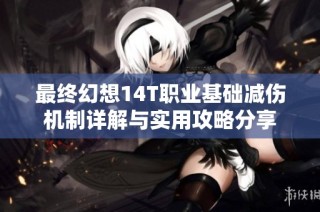 最终幻想14T职业基础减伤机制详解与实用攻略分享