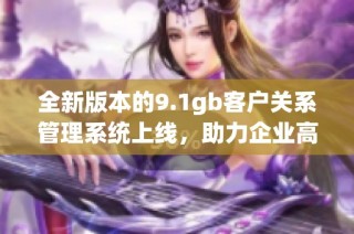 全新版本的9.1gb客户关系管理系统上线，助力企业高效运作