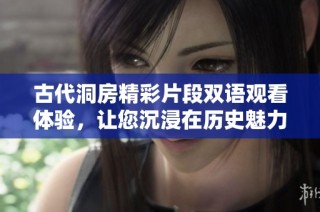 古代洞房精彩片段双语观看体验，让您沉浸在历史魅力中