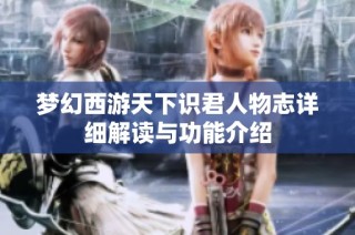 梦幻西游天下识君人物志详细解读与功能介绍