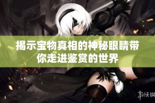 揭示宝物真相的神秘眼睛带你走进鉴赏的世界