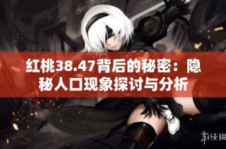 红桃38.47背后的秘密：隐秘人口现象探讨与分析