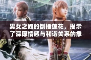 男女之间的倒插莲花，揭示了深厚情感与和谐关系的象征意义