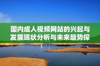 国内成人视频网站的兴起与发展现状分析与未来趋势探讨